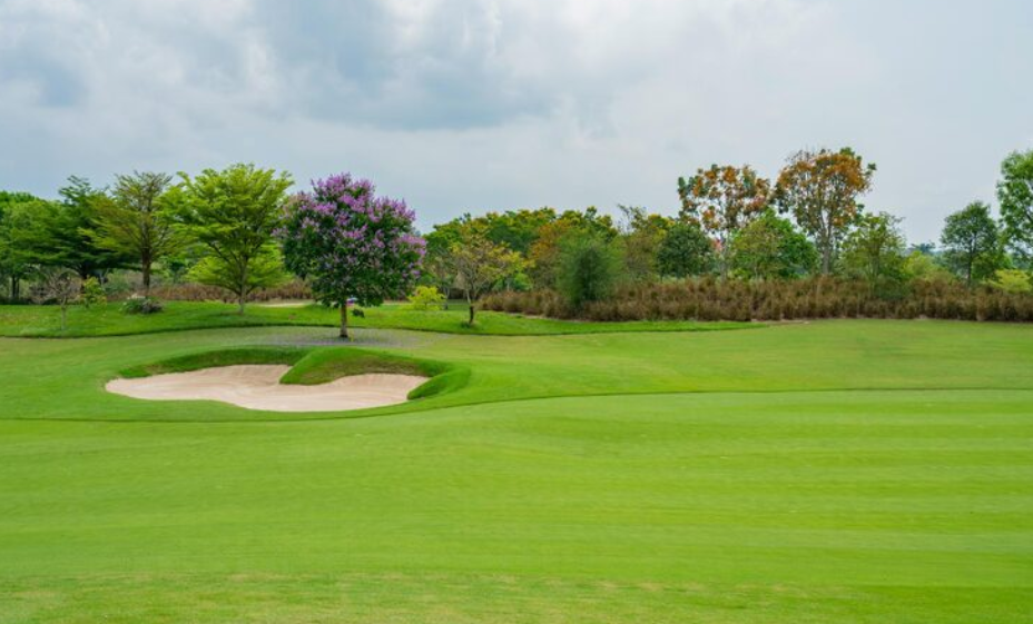 How Golf Memberships Can Improve Your Access to Exclusive Courses and Facilities
